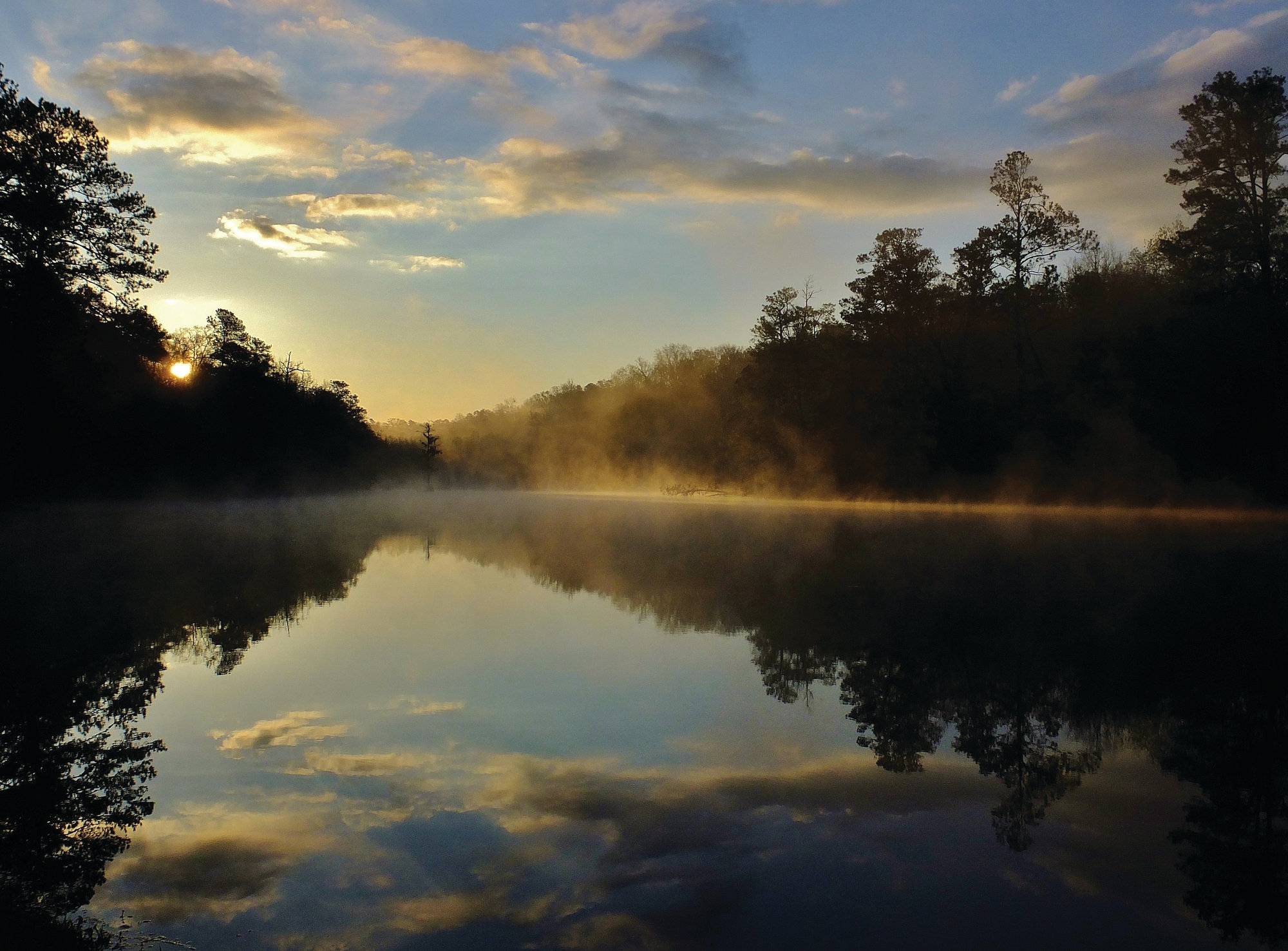 Start the New Year in nature Join a First Day Hike in America's state